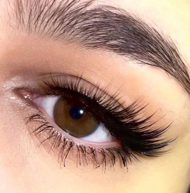 Lamb Lashes | Palm Springs