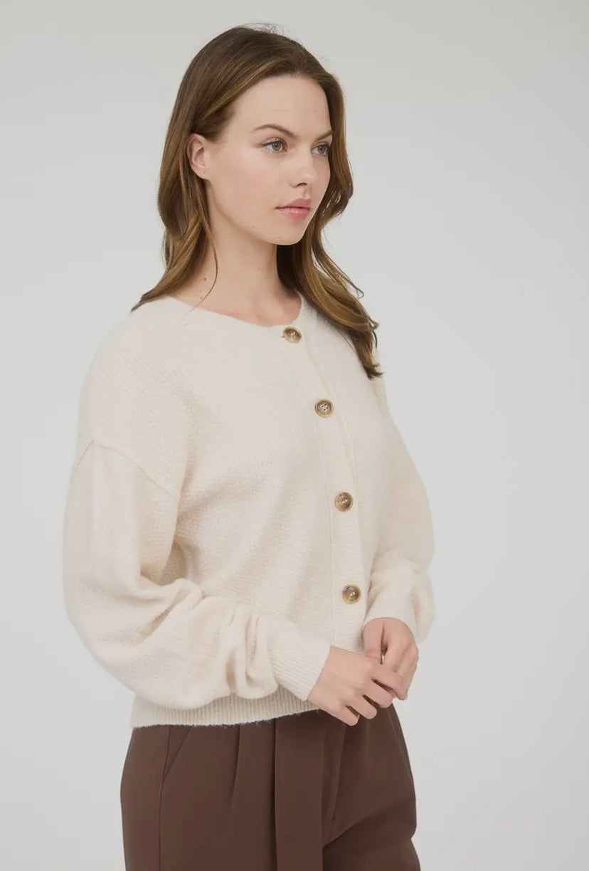 Anika Cardi | Ivory