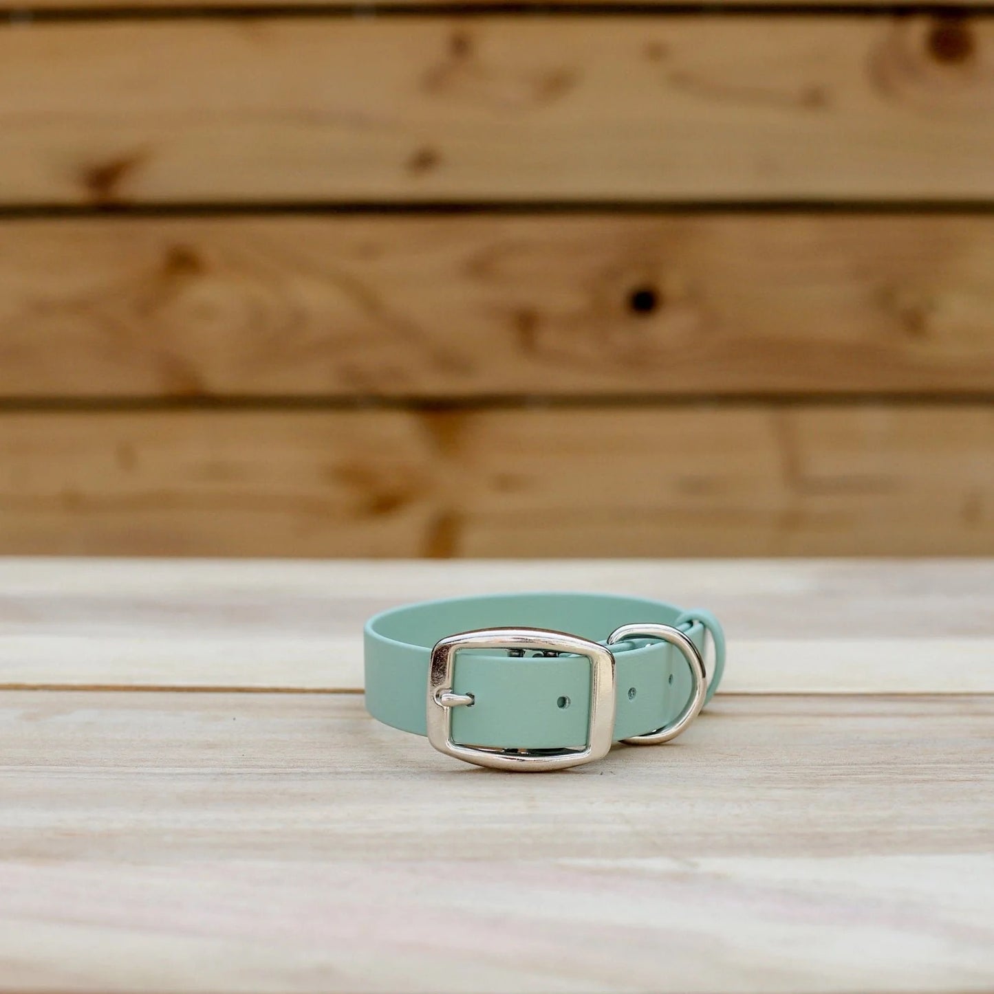 Jema + Jaxx - 1" Classic Buckle Collar | 2 Sizes | Multiple Colour Options