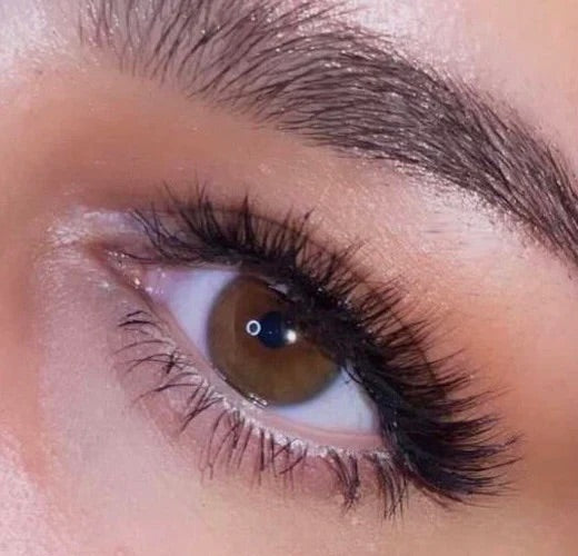 Lamb Lashes | Seattle
