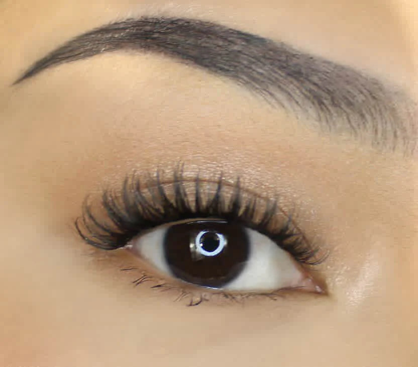 Lamb Lashes | Classic Glamb pre-glued lash segments