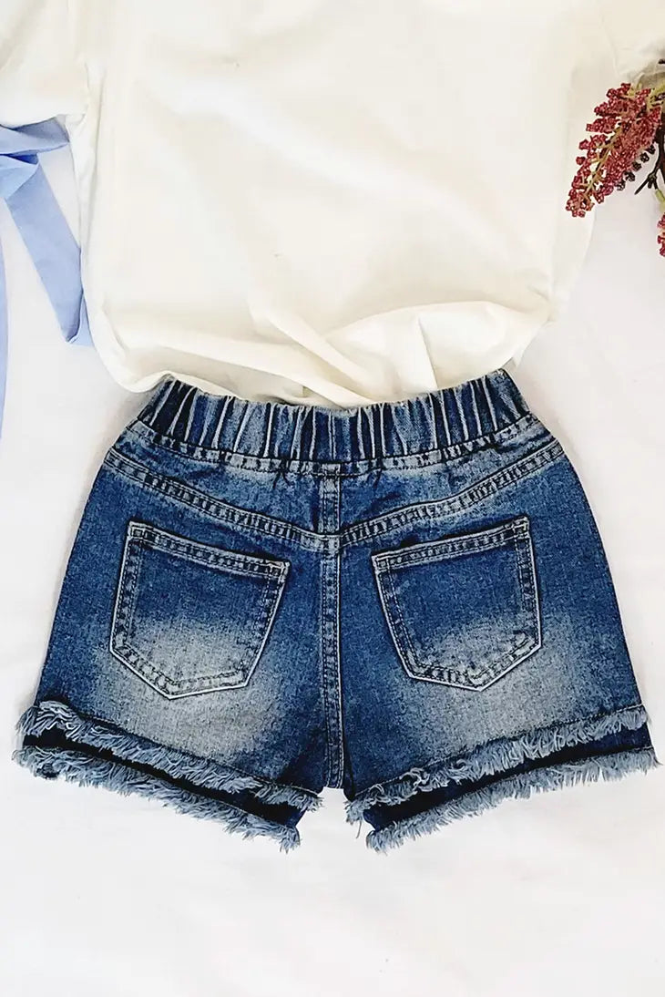 Kendall Denim Shorts
