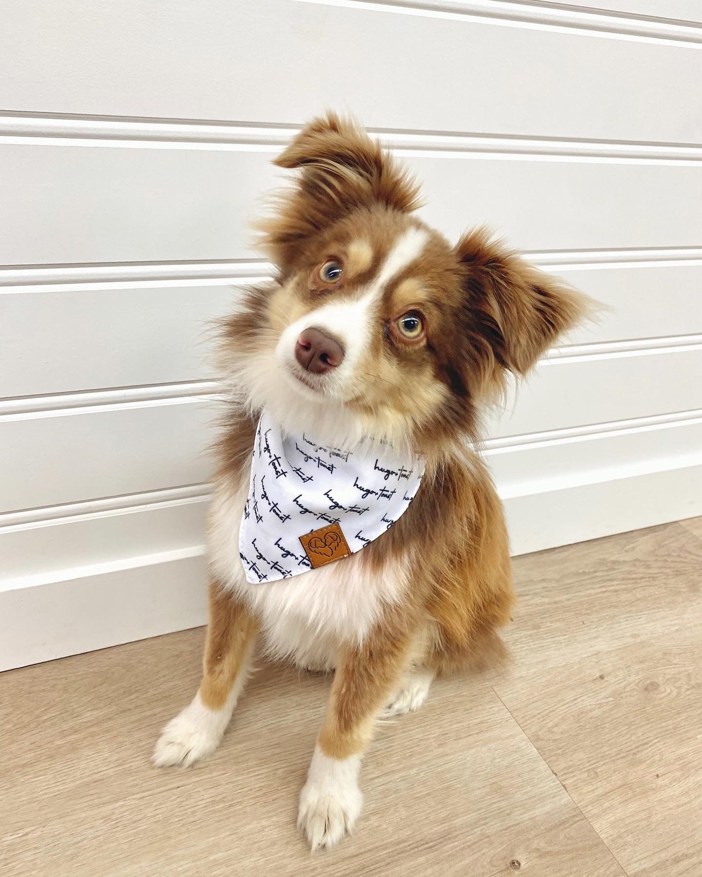 Toast Bandana - 2 Colours