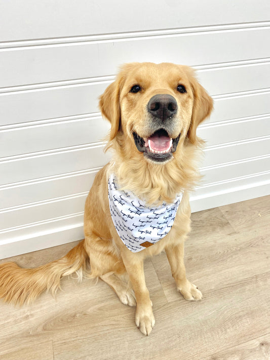 Toast Bandana | Size & Colour Options