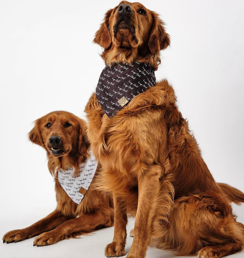 Toast Bandana - 2 Colours