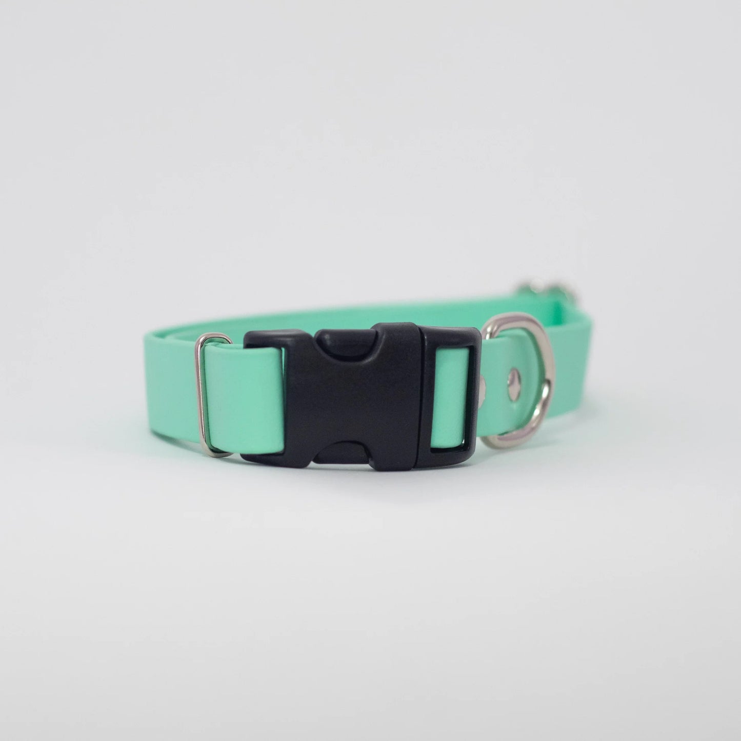 Jema + Jaxx Collars - 3/8" Tiny Breed Collar | Multiple Colour Options