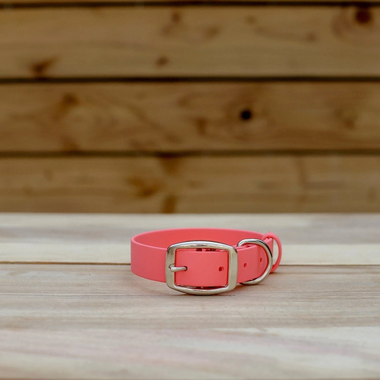 Jema + Jaxx - 1" Classic Buckle Collar | 2 Sizes | Multiple Colour Options