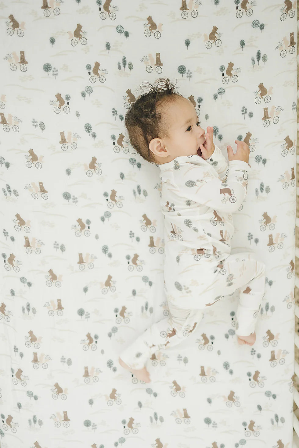 LOULOU LOLLIPOP | Bears On Bikes Sleeper