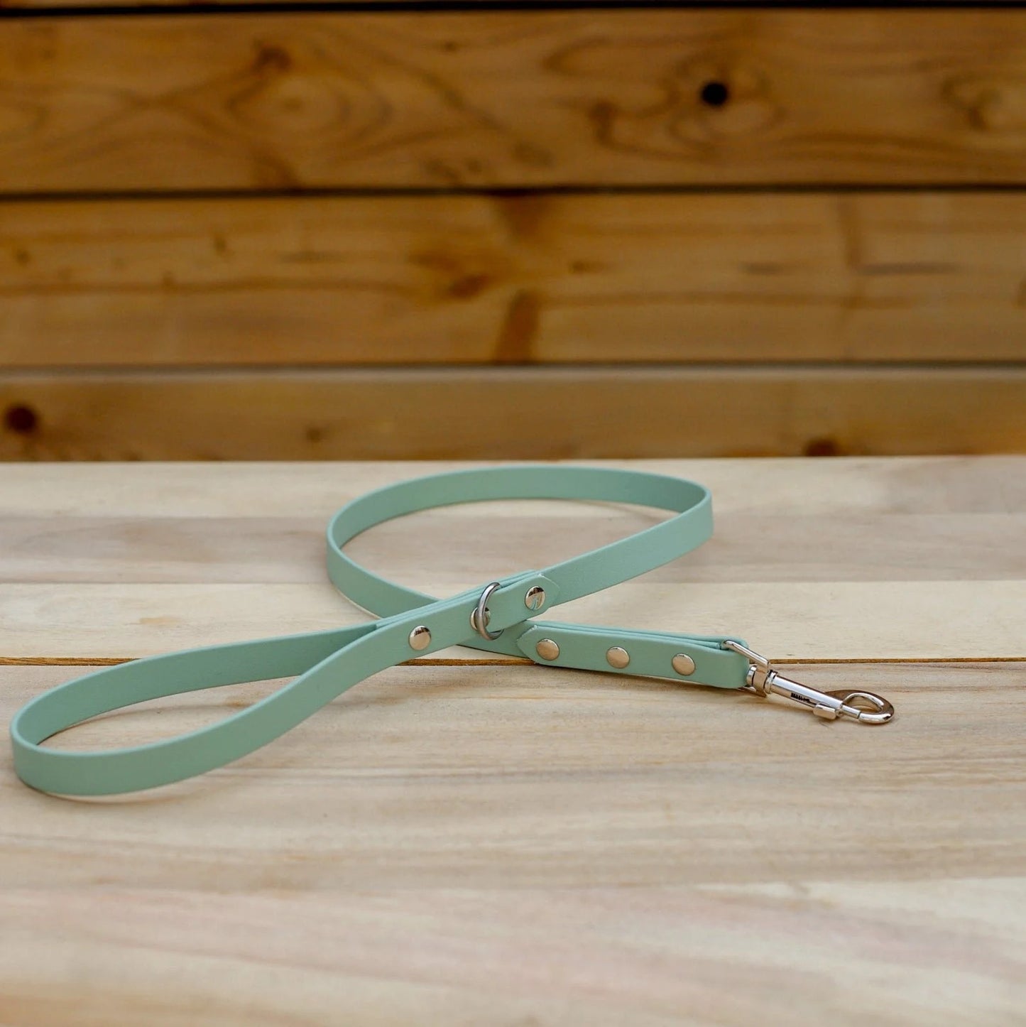 Jema + Jaxx - Biothane 5/8" Classic Leash | Multiple Colour Options