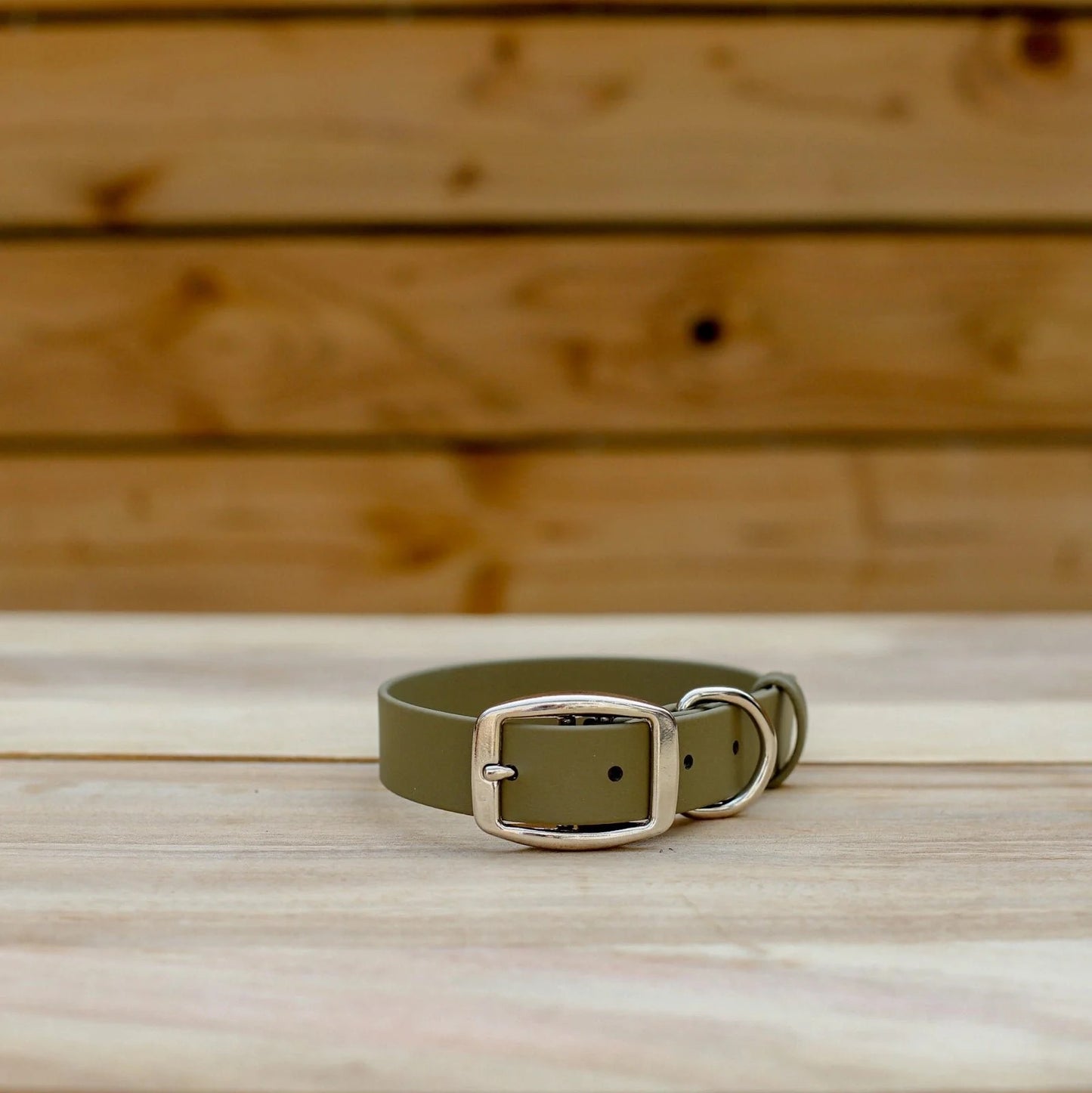 Jema + Jaxx - 1" Classic Buckle Collar | 2 Sizes | Multiple Colour Options