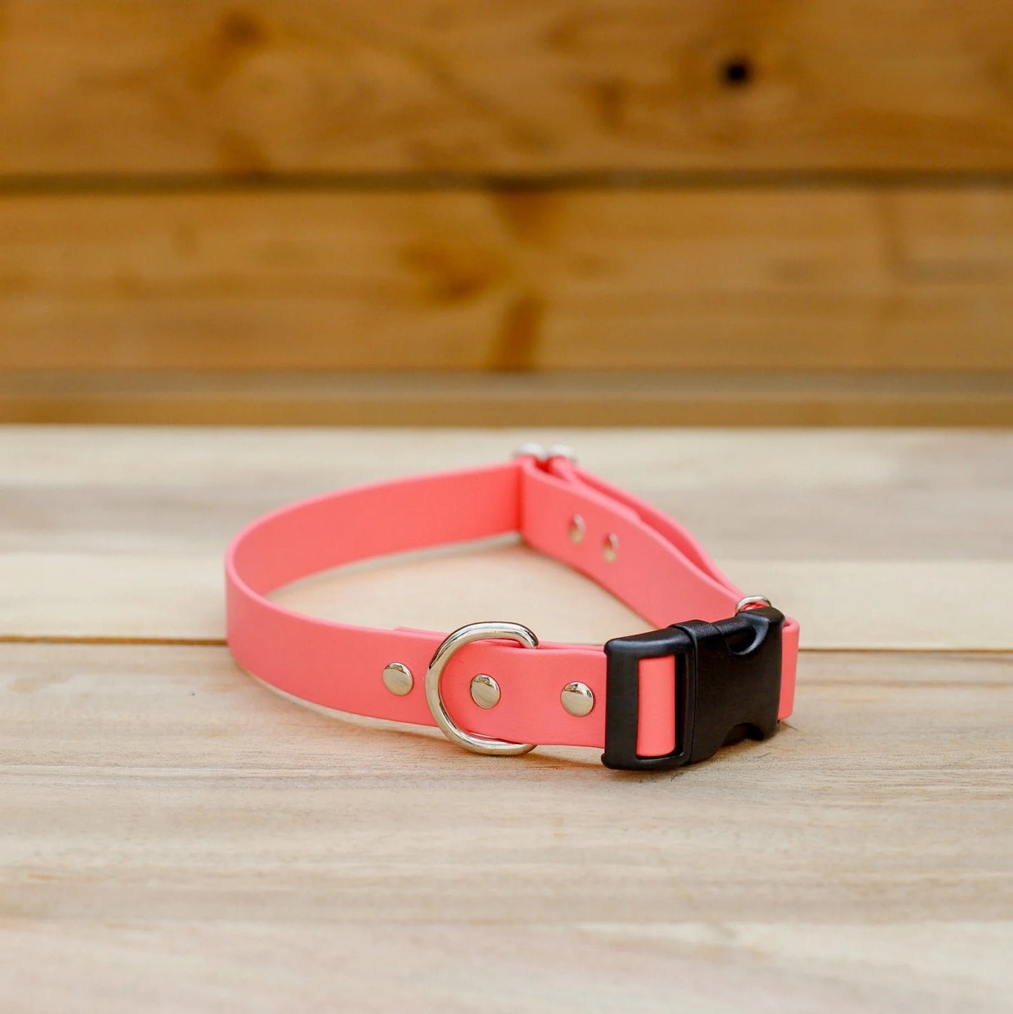 Jema + Jaxx - Biothane 1" Adjustable Collar | 2 Size Options | Multiple Colour Options