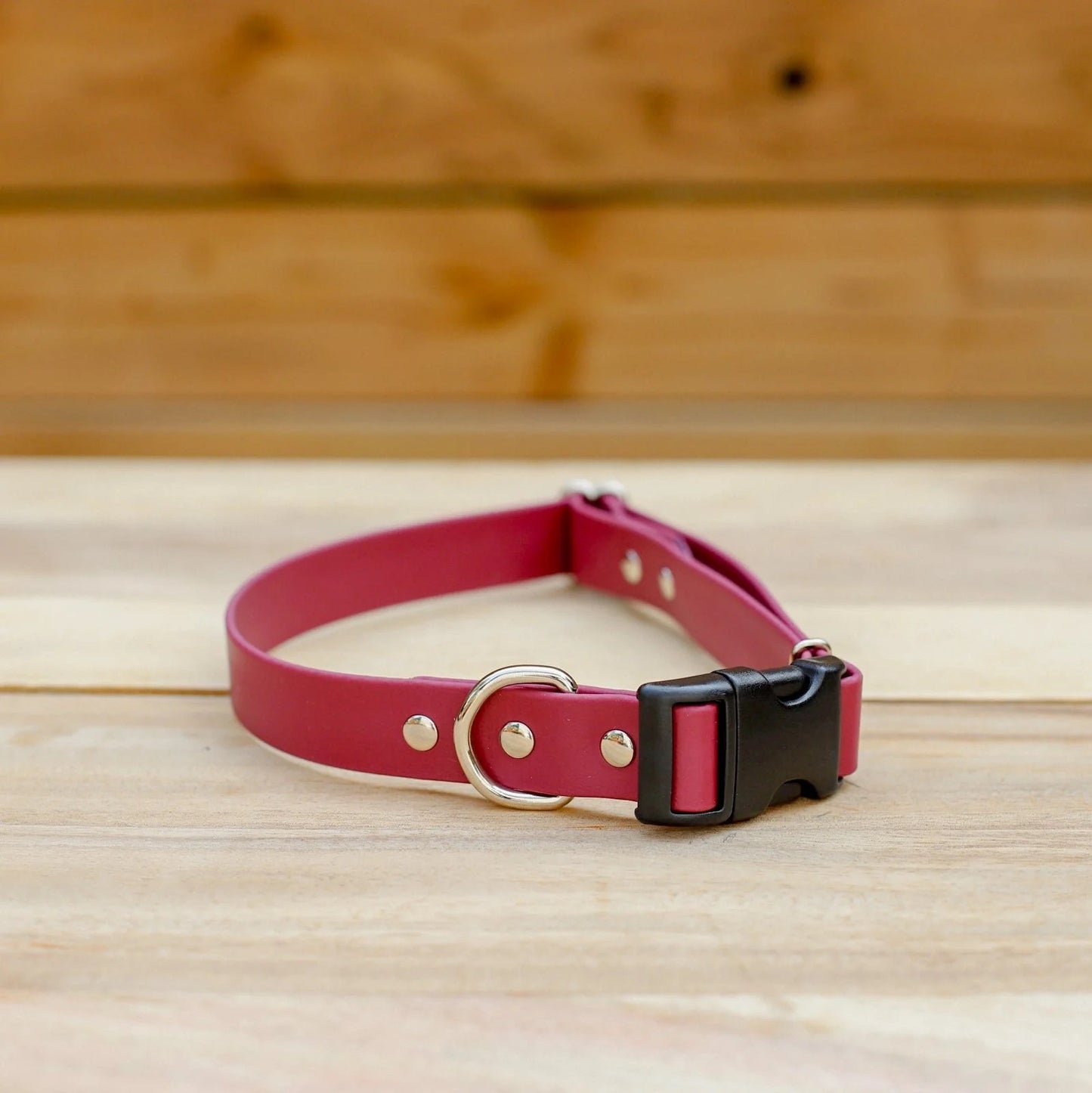 Jema + Jaxx Collars - 3/8" Tiny Breed Collar | Multiple Colour Options