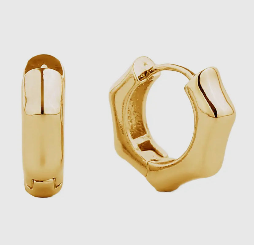 14K Gold-Dipped WIde Hexagon Earrings