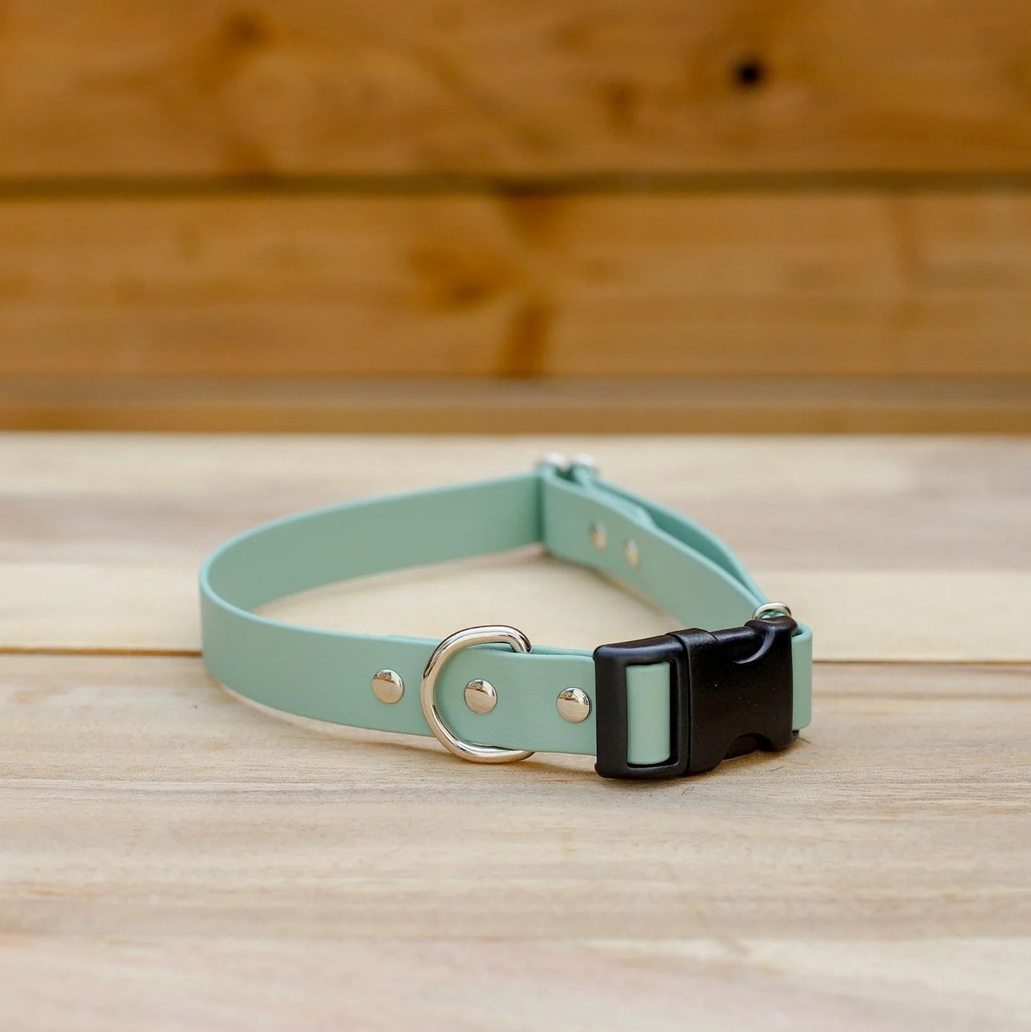 Jema + Jaxx - Biothane 1" Adjustable Collar | 2 Size Options | Multiple Colour Options