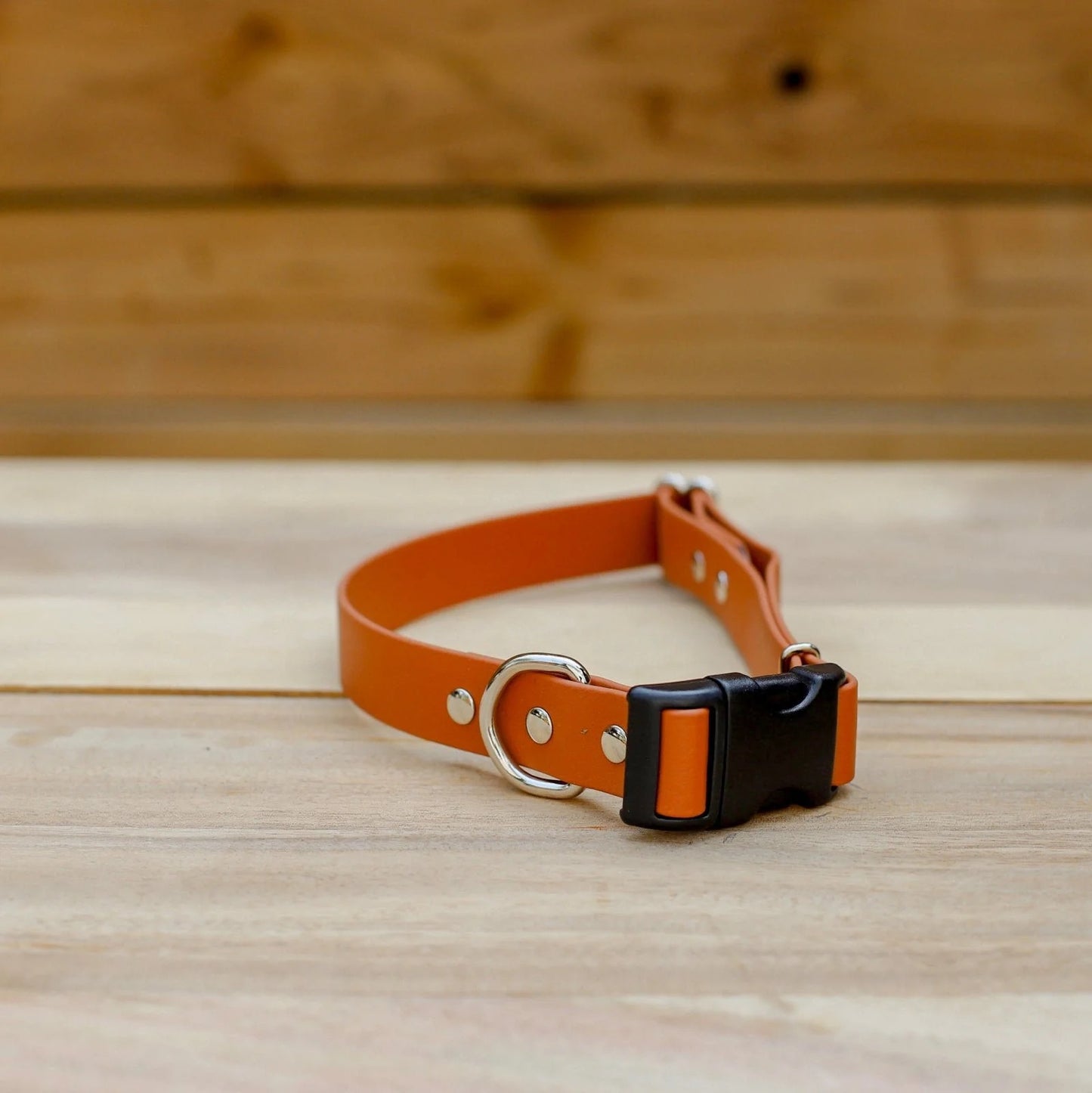 Jema + Jaxx Collars - 3/8" Tiny Breed Collar | Multiple Colour Options