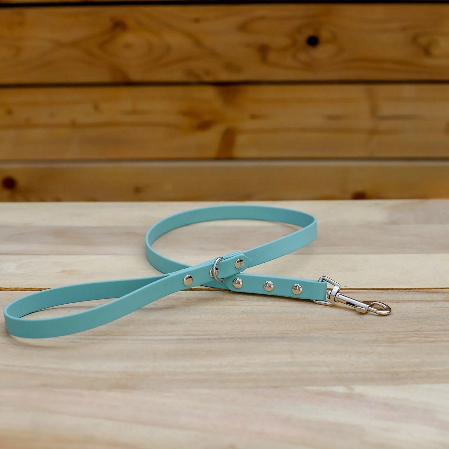 Jema + Jaxx - Biothane 3/8" Tiny Breed Leash | Multiple Colour Options