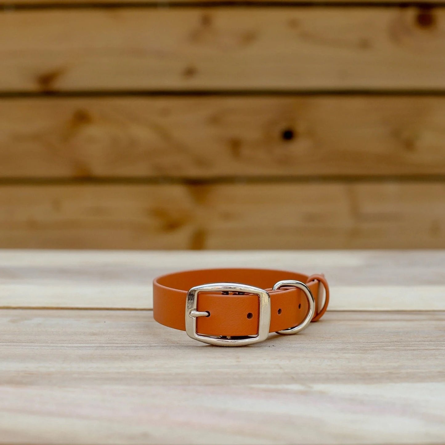 Jema + Jaxx - 1" Classic Buckle Collar | 2 Sizes | Multiple Colour Options