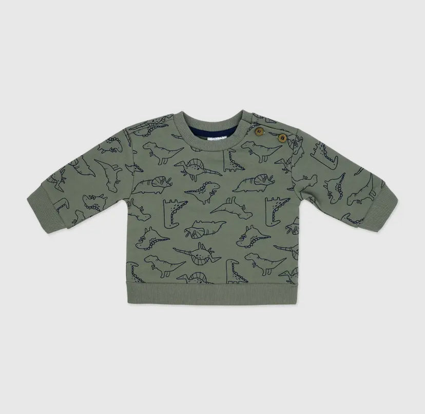 Boys 3 Piece French Terry Set | Dinosaur