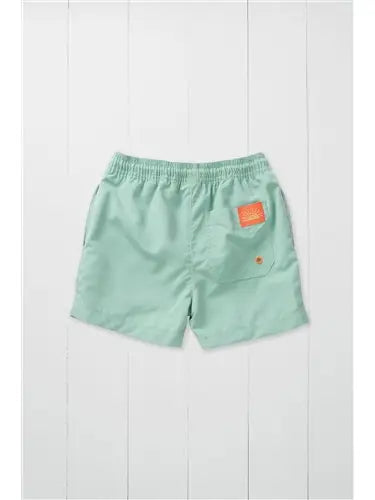 Pistachio Swim Shorts