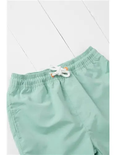 Pistachio Swim Shorts