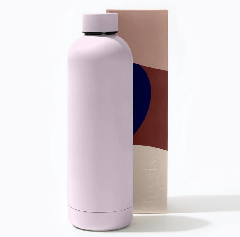 Stainless Steel Water Bottle