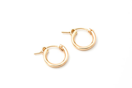 Small Hinge Hoops Gold